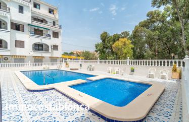 2 room apartment in Playa Flamenca, 48 m²