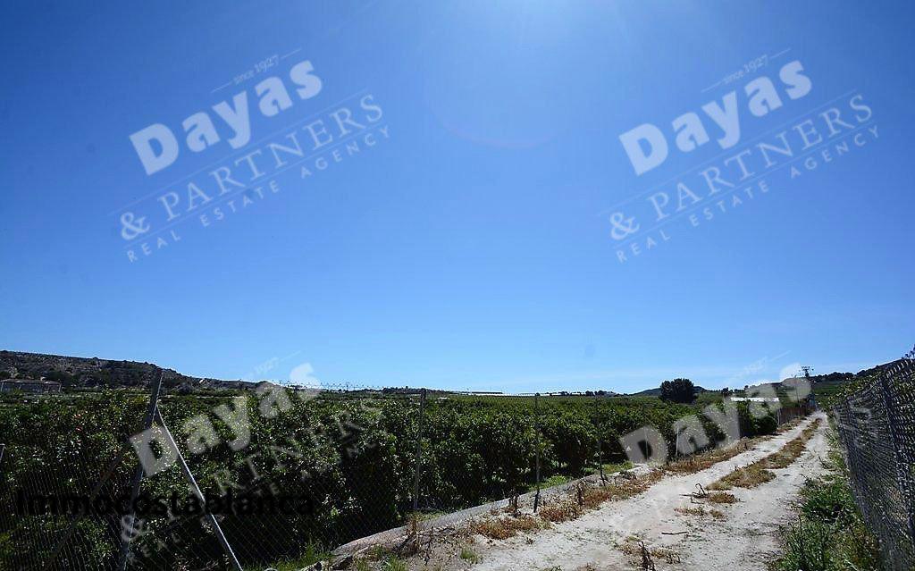 Detached house in Jacarilla, 254,000 €, photo 5, listing 5967296